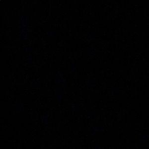 Meet your Posher, Cesar